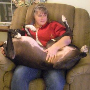 Meet your Posher, Cheryl